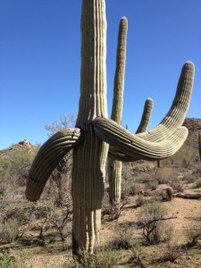 Shake it up baby...twist and shout.