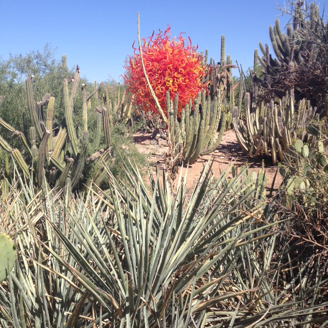 An explosion of orange!