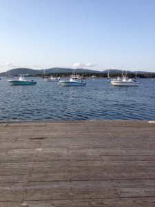 View from the dock behind my house -- in the summer.