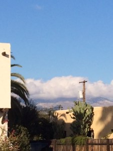 New Year's Day 2015: Snow on the Catalinas (over 8,000 feet)