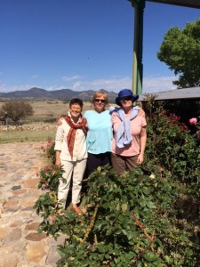 Chicago, Kansas City and Boston