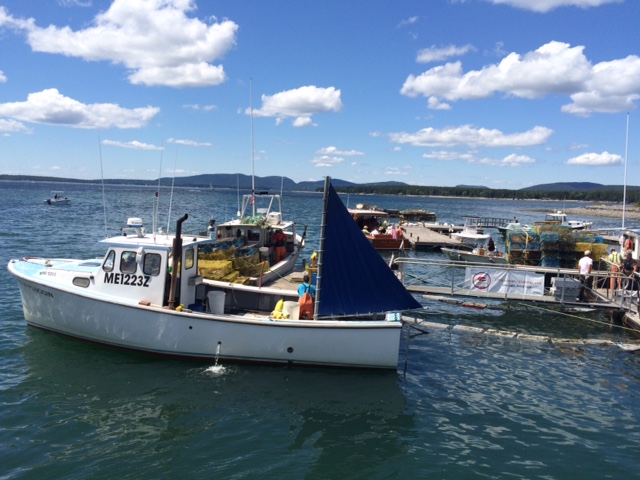 I cheated. These lobster boats are at the Ilesford Co-op, not behind my house. But they look the same. 