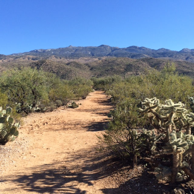 Sunday hike on Douglas Spring trail