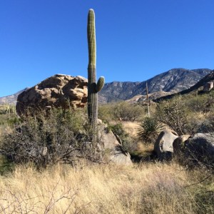 Beautiful Catalina State Park